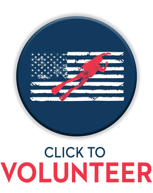 Volunteer Button1