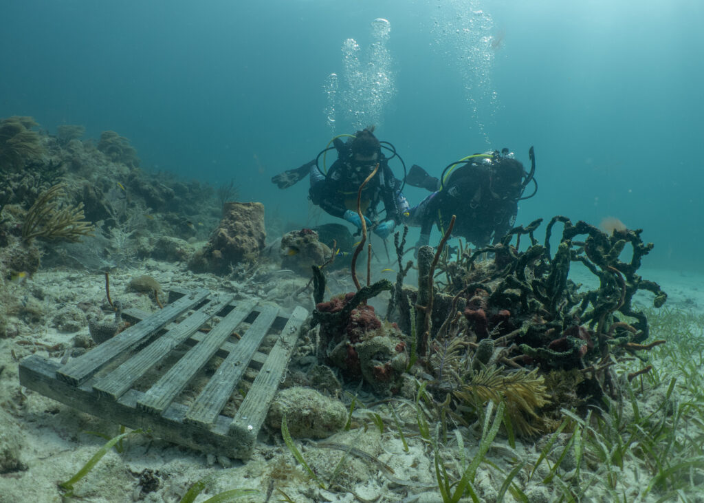 biscayne national underwater park